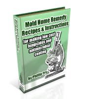 Mold Home Remedy